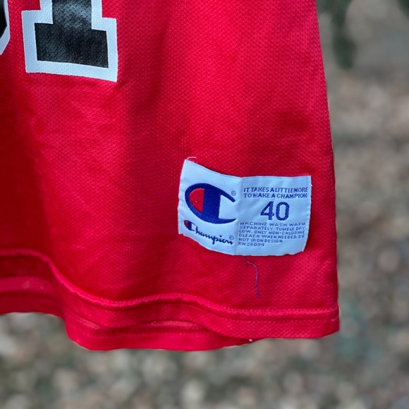 Vintage Champion Chicago Dennis Rodman Jersey - Picture 2 of 3